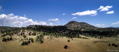 142 Long Rifle Way, Como, CO 80432 - photo 4