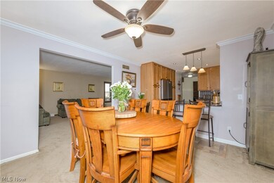 3009 State Route 44, Rootstown, OH 44272 - photo 5