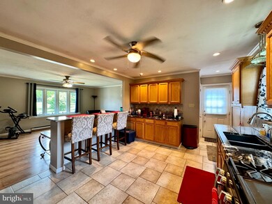 8362 Powder Ln, Zionsville, PA 18092 - photo 6