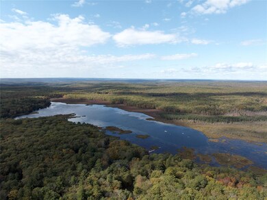 3 Big Lake Rd, Huguenot, NY 12746 - photo 4