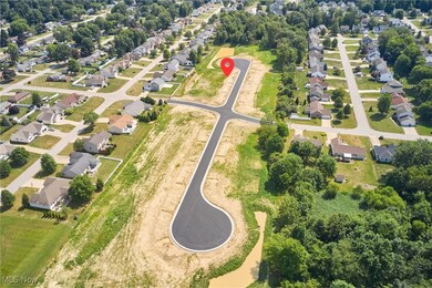 2891 S/L 10 Willow Way, Norton, OH 44203 - photo 5