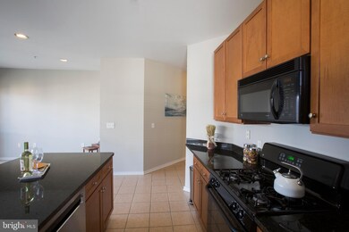 8045 Newell St unit 524, Silver Spring, MD 20910 - photo 6