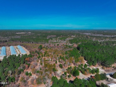 0000 Jesse Smith Rd, Laurel Hill, NC 28351 - photo 3