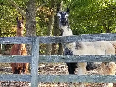 19190 Walsh Farm Ln, Bluemont, VA 20135 - photo 2