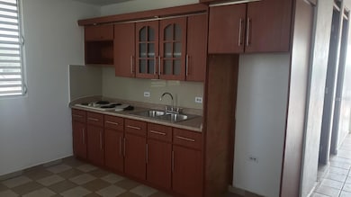 2063 Calle Yagrumo Urb Los Caobos, Ponce, PR 00716 - photo 4