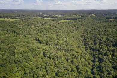 1 Creed Wright Rd, Walling, TN 38587 - photo 6