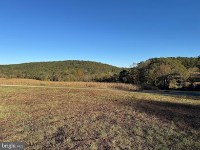 0 Wild Turkey Ln unit PASK2023694, New Ringgold, PA 17960 - photo 6
