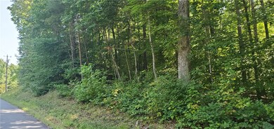 160 Beaver Lake Dr, West Union, SC 29696 - photo 3