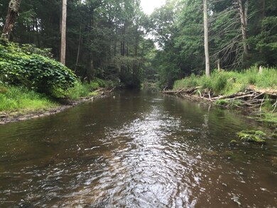 140 N Beisels Rd, Drums, PA 18222 - photo 3