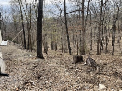 4 Rockdale Rd, Kimberling City, MO 65686 - photo 7