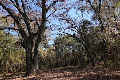 1755 Lee Road 61, Auburn, AL 36832 - photo 2