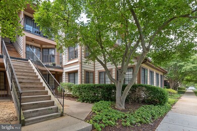 14104 William St unit E, Laurel, MD 20707 - photo 6