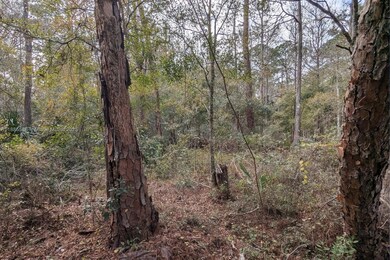 9076 N Evenstock Way, Crystal River, FL 34428 - photo 5