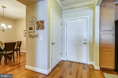 8616 Wintergreen Ct unit 304, Odenton, MD 21113 - photo 6