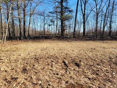 Lot 3 Patch Rd, Hopkinton, NH 03229 - photo 4