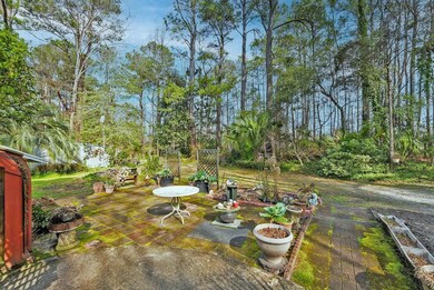 Backyard 5