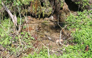 Additional View