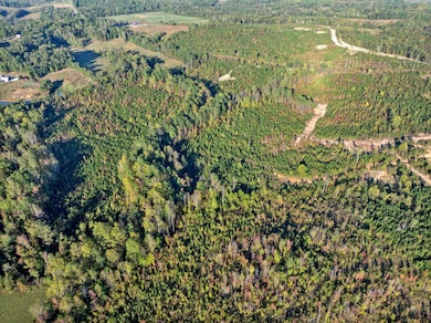 0 Tucker Rd, Bath Springs, TN 38311 - photo 7