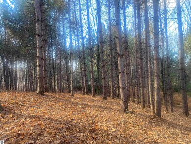 000 E Hammond Rd, Traverse City, MI 49686 - photo 7