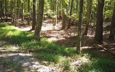 Additional View