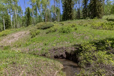 Ditch (1)