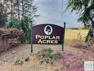 TBD Splendors Gate Rd, Axton, VA 24054 - photo 6