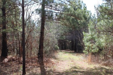 44 ac Olden Porter Rd, Pendleton, SC 29670 - photo 7