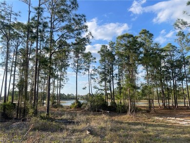 465 Burrstone Dr, Lehigh Acres, FL 33974 - photo 2