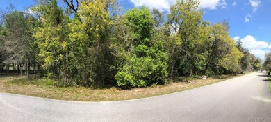 689 E Jenkins Ct, Hernando, FL 34442 - photo 5