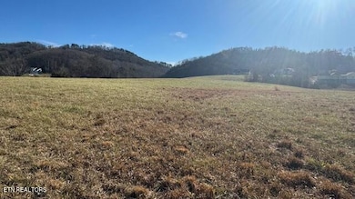 view opposite lake