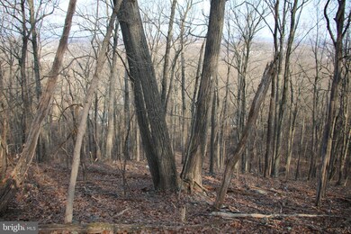 0 Greystone Dr unit VAWR142706, Front Royal, VA 22630 - photo 5