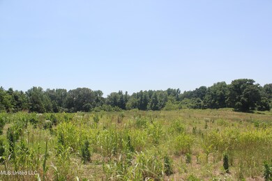 IMG_8442