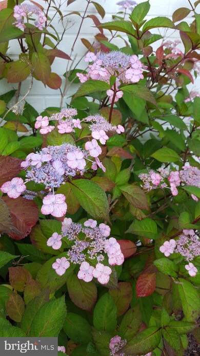 3341 Sudlersville S, Laurel, MD 20724 - photo 3