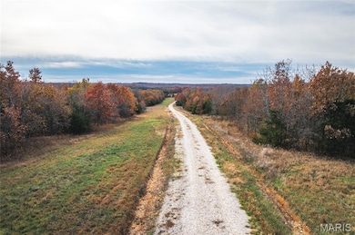 View of dirt / gravel road with a wooded view
