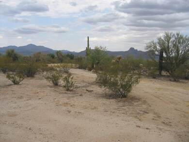 Tucson Mtns.