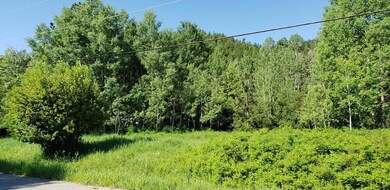 Nhn Pioneer Rd, Libby, MT 59923 - photo 3