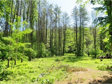 TBD Spruce, Ludlow, VT 05149 - photo 3