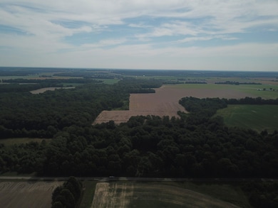 000 Beard Rd, Xenia, IL 62899 - photo 3