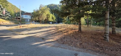 930 Lower Page Rd, Smelterville, ID 83868 - photo 5