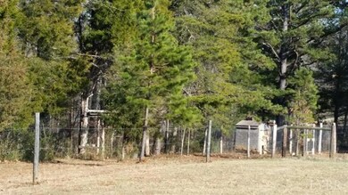 1117 Mohawk Rd, Long Island, VA 24569 - photo 7