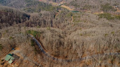 Lot 7 Ada Ridge Rd, Mineral Bluff, GA 30559 - photo 5