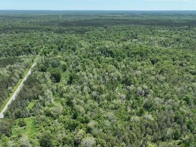 000 V/L 13 Mile Rd unit Par D, Bitely, MI 49309 - photo 5