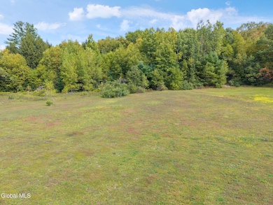 L113 Hemlock Ridge Way, Stephentown, NY 12168 - photo 6