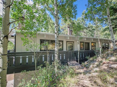 8650 S Fairall Rd, Morrison, CO 80465 - photo 6