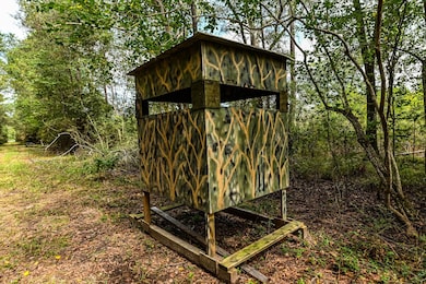 0 Texas 105, Hull, TX 77564 - photo 3