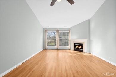 1132 Spring Garden Cir unit 32, Naperville, IL 60563 - photo 2