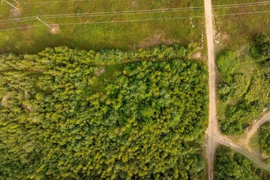 6-web-or-mls-117-black-bear-wy