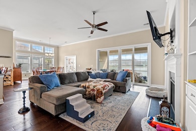 Living area featuring baseboards, a fireplace, dar