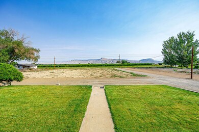 3445 C 1 2 Rd, Palisade, CO 81526 - photo 4