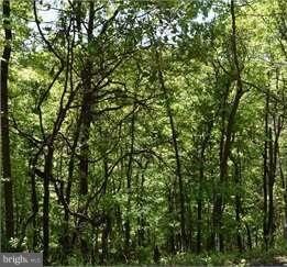 0 View Dr unit 1002744236, Front Royal, VA 22630 - photo 2